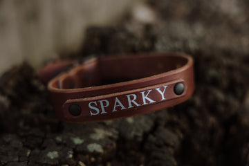Oakley Leather Name Tag Collar * Name tag included*