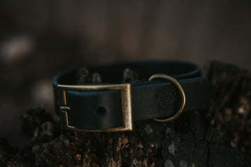 Leather Oakley Collar