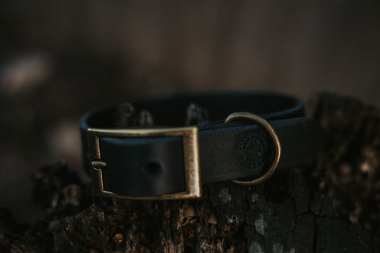 Leather Oakley Collar
