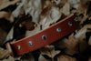 Leather Oakley Collar - Jeweled