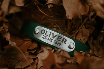 Engraved Name Plate