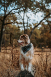 Lodge Bandana